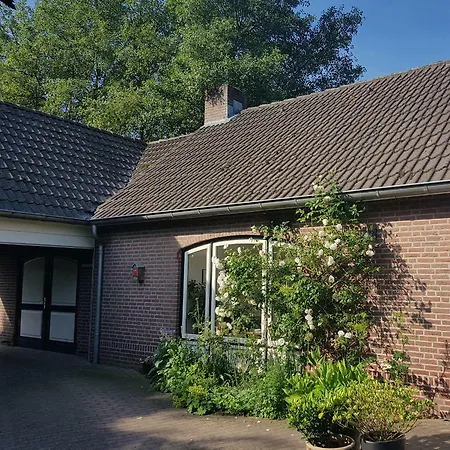 Oostrik