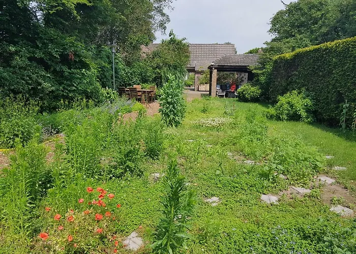 Oostrik فندق مبيت وإفطار Leende