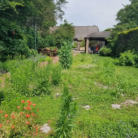 Oostrik Oda ve Kahvaltı Leende